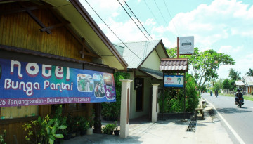 Bunga Pantai