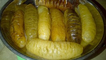 Tripang / Hoi Som